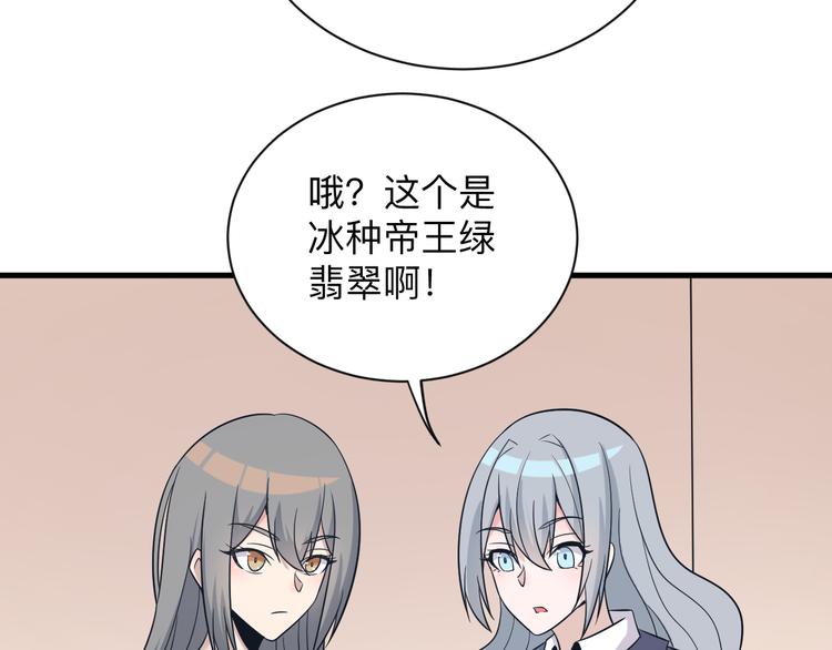 第231话 极品翡翠17
