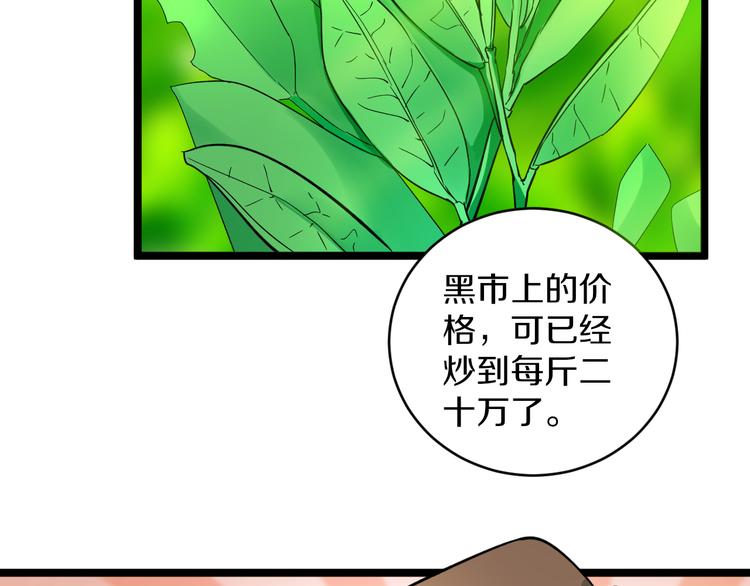 第142话 极品铁观音44