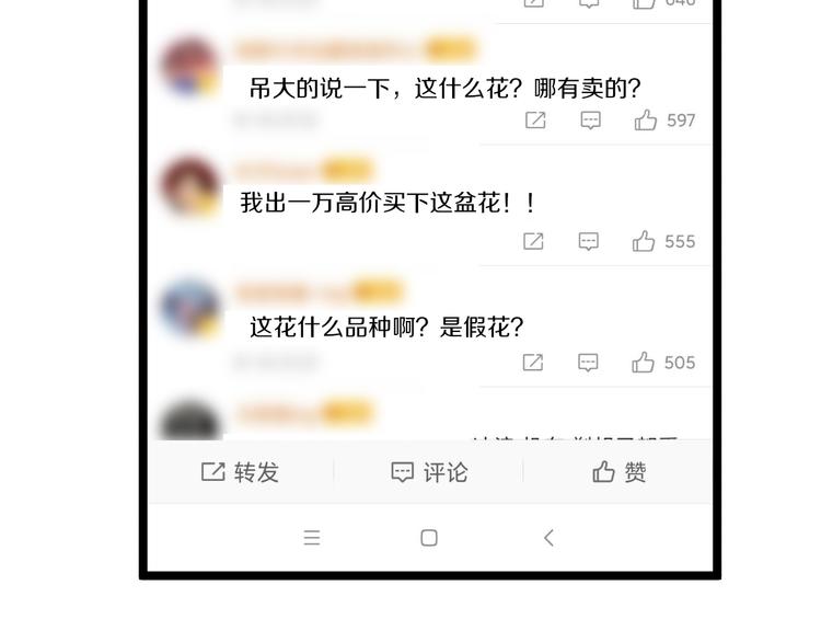 第150话 艳阳花开107