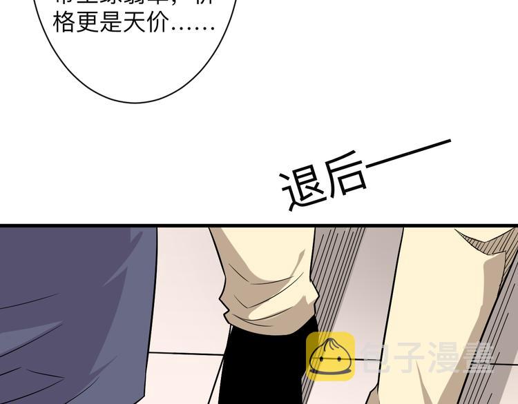 第231话 极品翡翠22