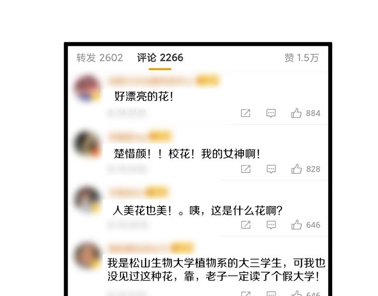 第150话 艳阳花开102