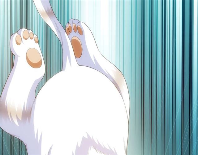 第139话 招财猫！82