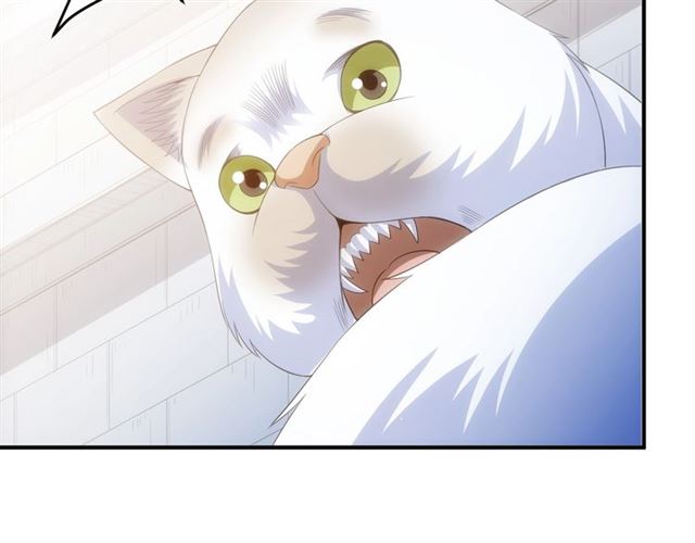 第139话 招财猫！79