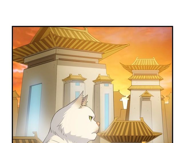 第139话 招财猫！4