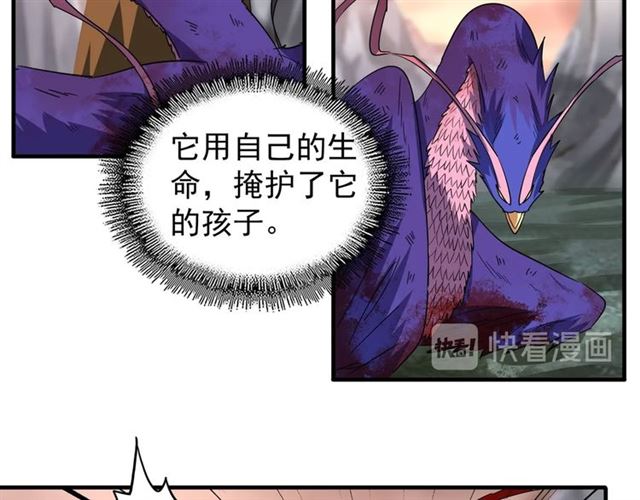 第81话 蛋！73