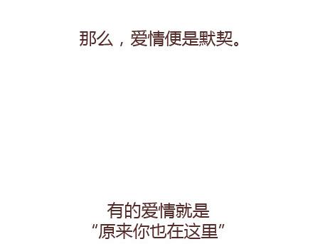 第65话 爱情是什麽27