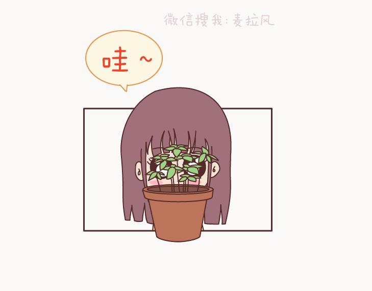 第127话 我就喜欢不那麽好的你4
