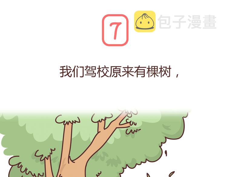 第271话 驾照36