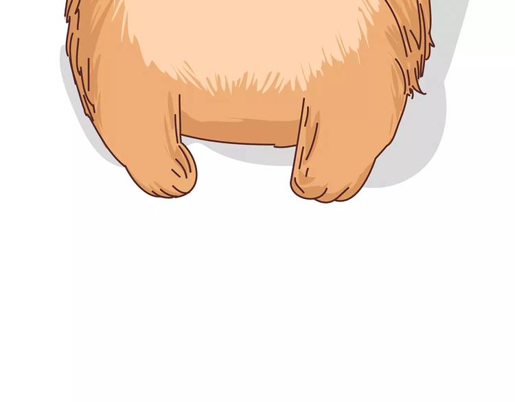 第375话 犬系老公大分类40