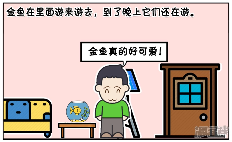 爸爸给子阳买了几条金鱼回家1
