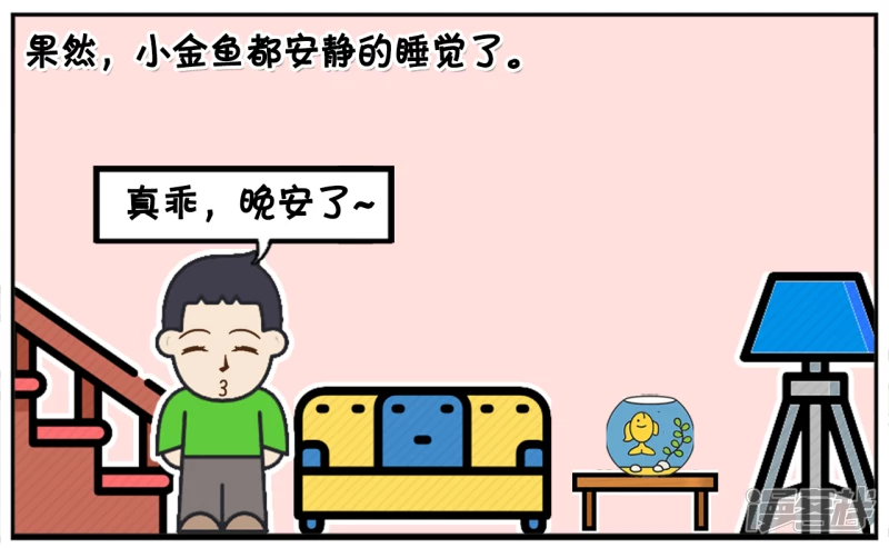 爸爸给子阳买了几条金鱼回家7