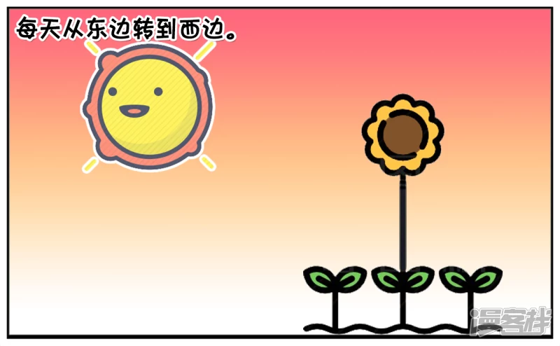 子阳不怕鬼却怕向日葵2