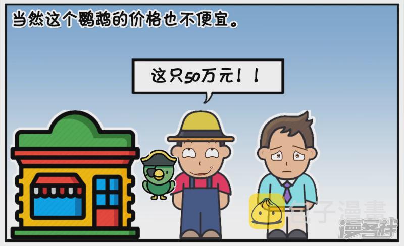 妈妈的生日，子阳送了只鹦鹉3