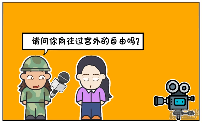 宫里的贵妃娘娘一直向往自由1