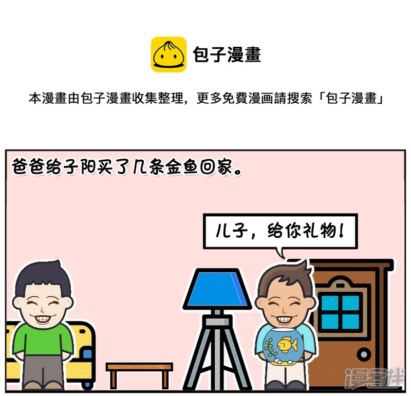 爸爸给子阳买了几条金鱼回家0