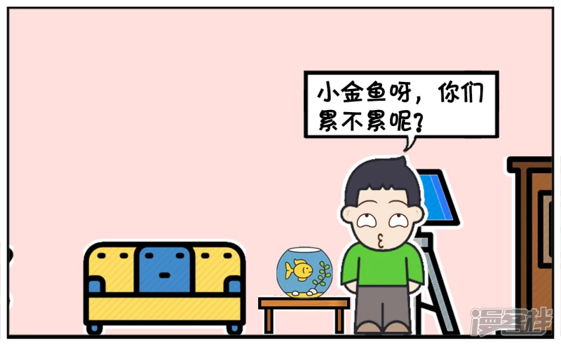 爸爸给子阳买了几条金鱼回家3