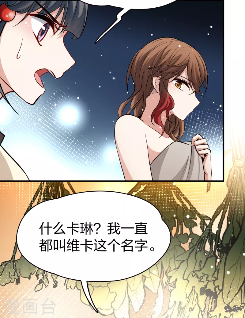 第2季第47话 维卡的秘密231