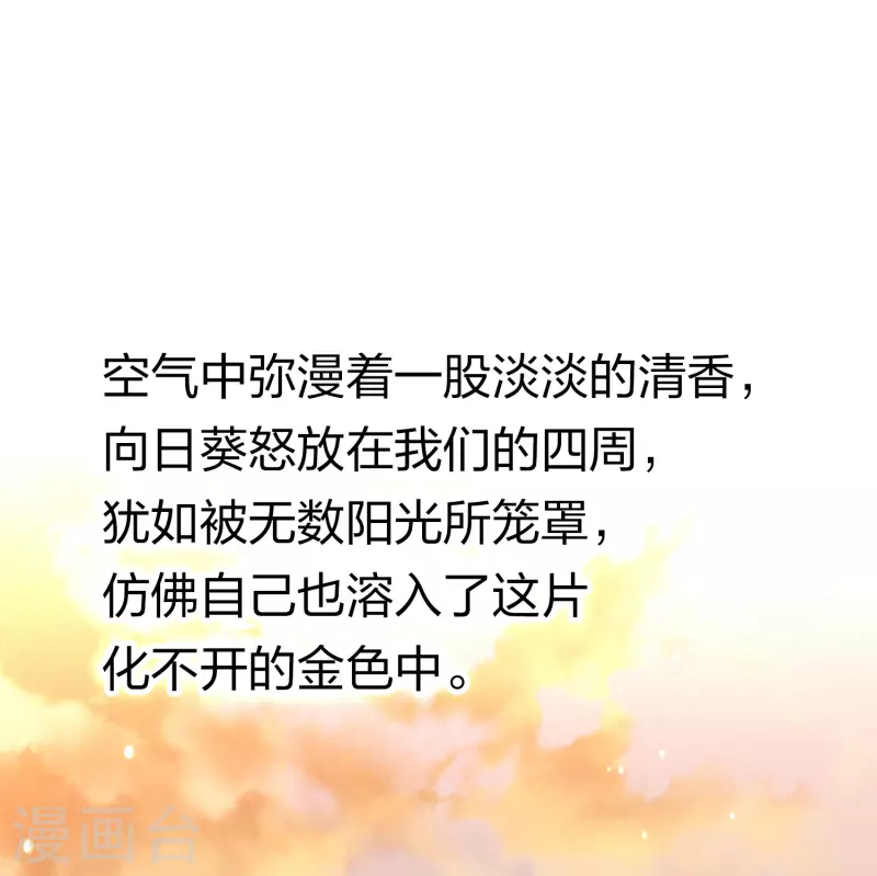 第2季第129话 向日葵花语125