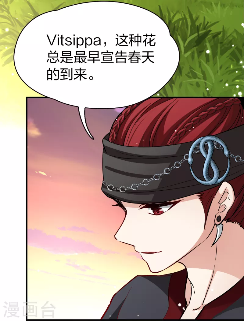 第2季第49话 维卡的秘密49