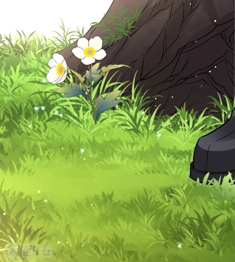 第2季第49话 维卡的秘密48