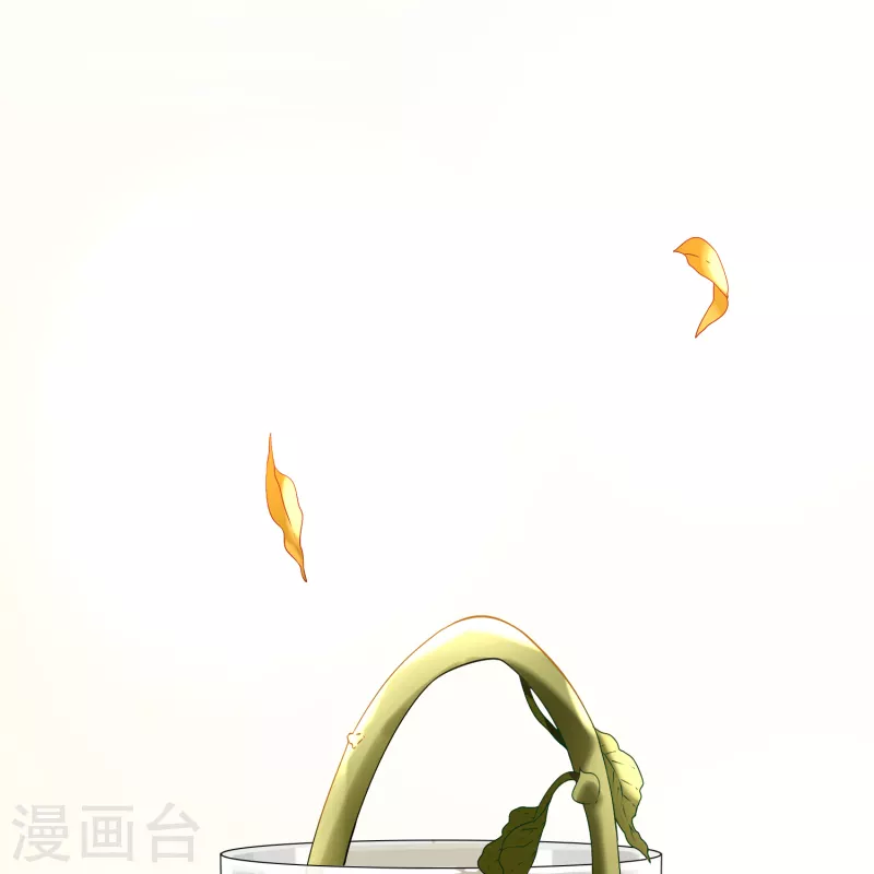 第2季第133话 向日葵花语555