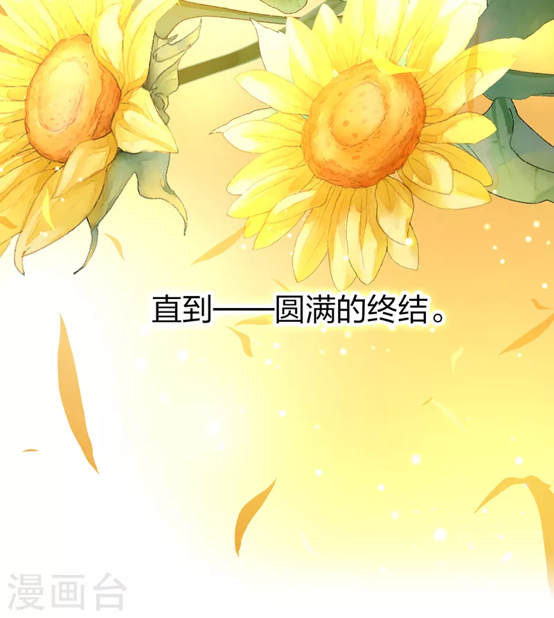第2季第130话 向日葵花语26