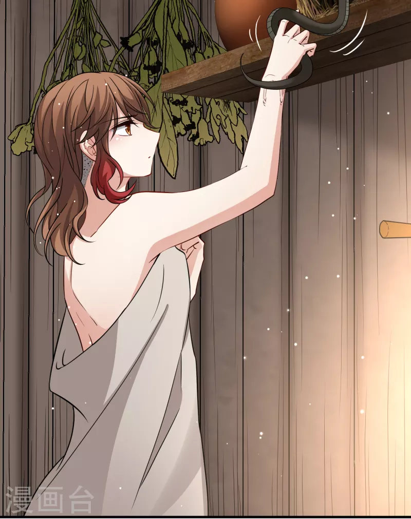 第2季第47话 维卡的秘密221