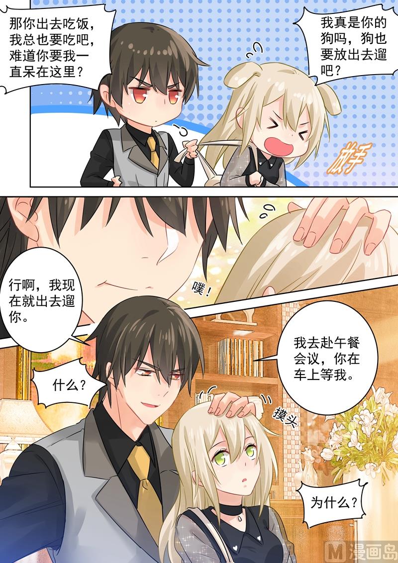 第105话 宠物般的生活4