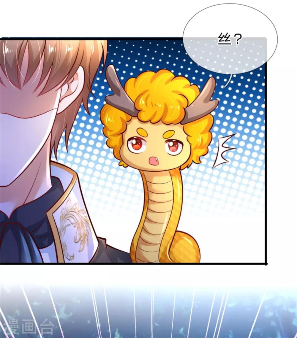 第239话 保护瑾儿熊熊有责28