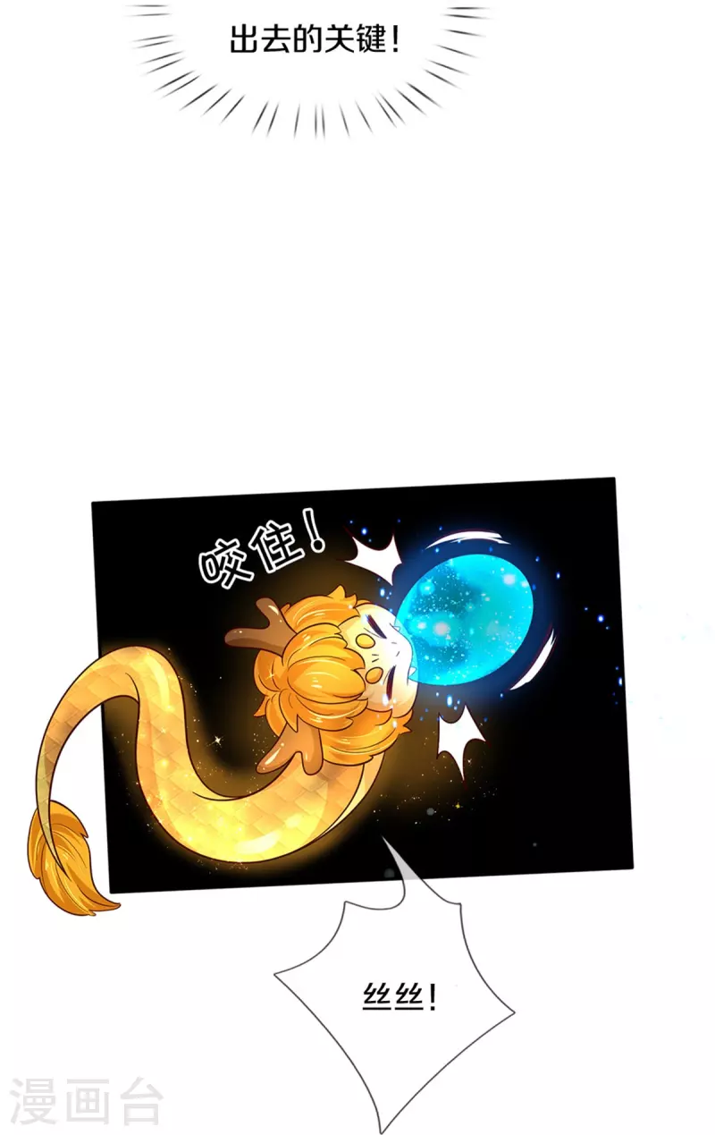 第503话 出去的关键19