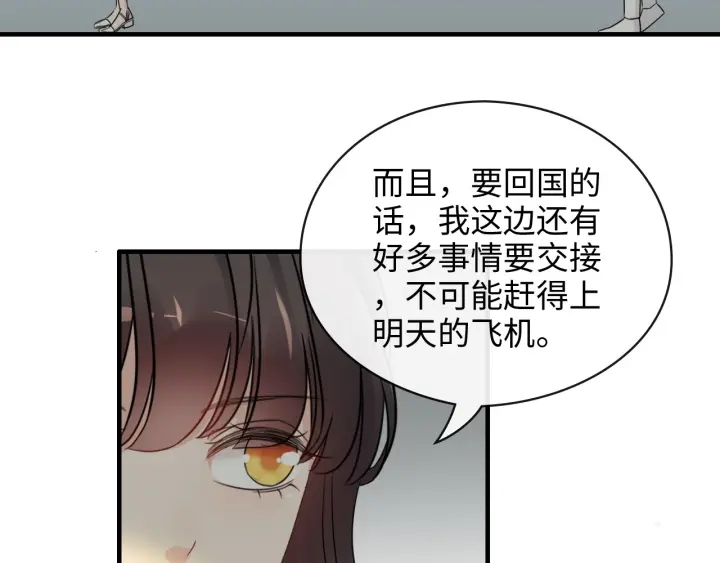 第334话 兮兮决定回国！84