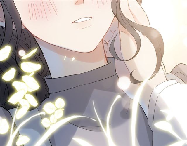 第220话 小野猫我们回家了27