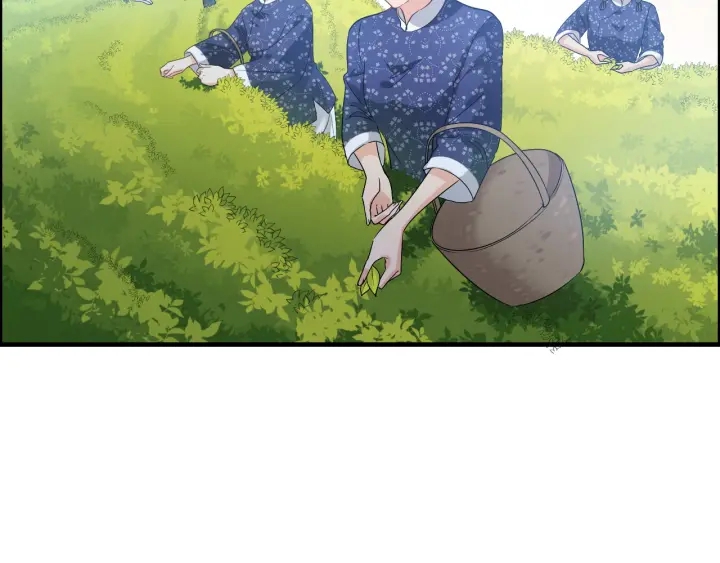 第337话 茶山的雨天12