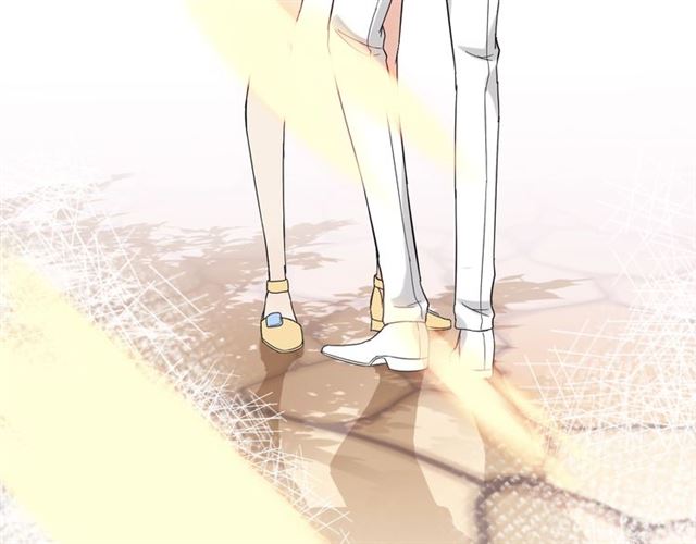 第220话 小野猫我们回家了5