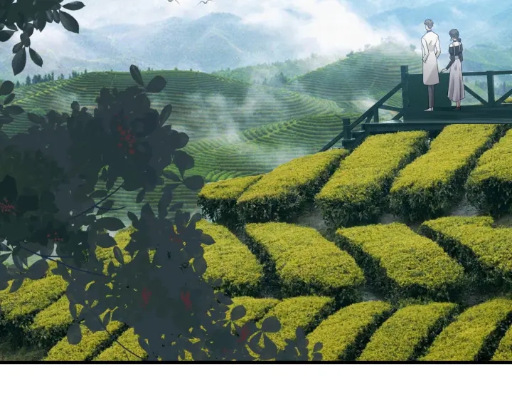 第337话 茶山的雨天8