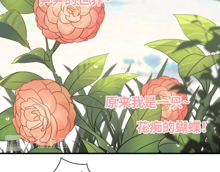 第330话 又见墨梓忻39