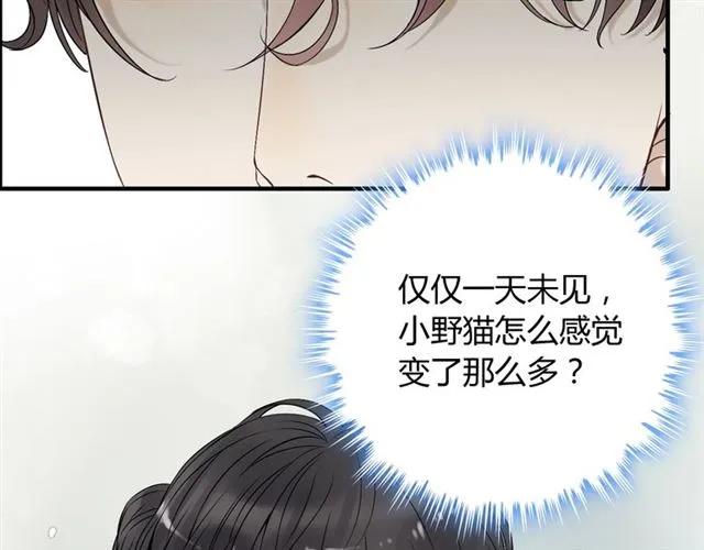 第155话 顾兮兮，你赢了39