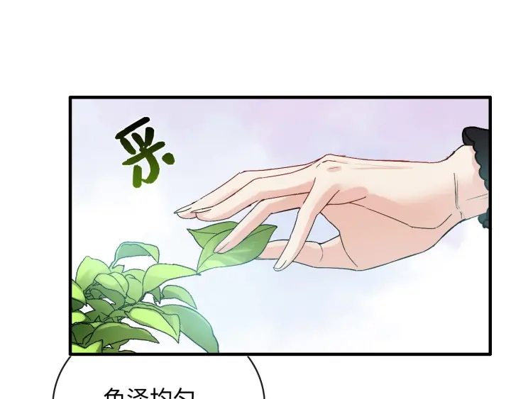 第337话 茶山的雨天13