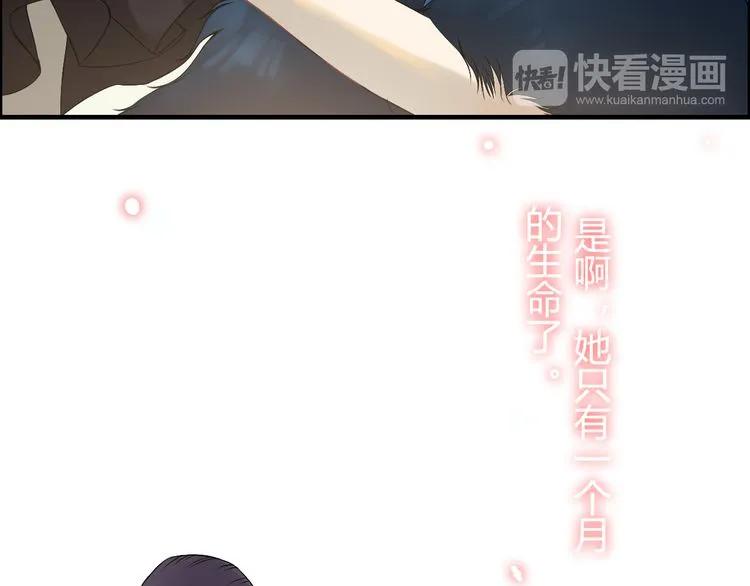 第65话 我原谅你就是了…19