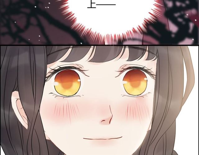 第220话 小野猫我们回家了90