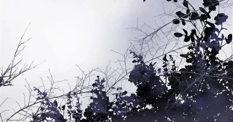 第127话 他最爱的人不是我98