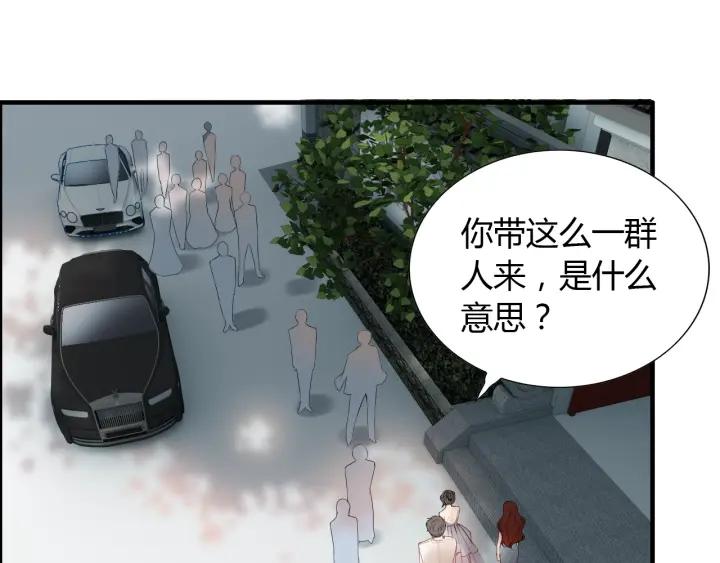 第138话 我来接夫人回家99