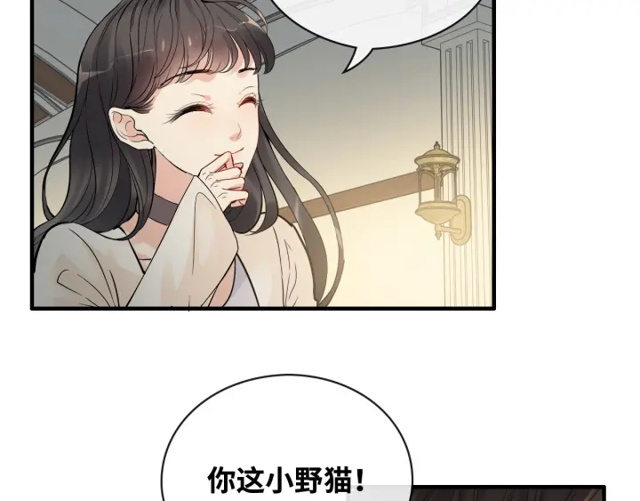 第334话 兮兮决定回国！71