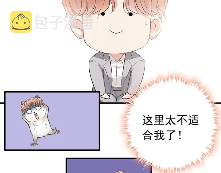 第287话 天塌下来老公顶着48