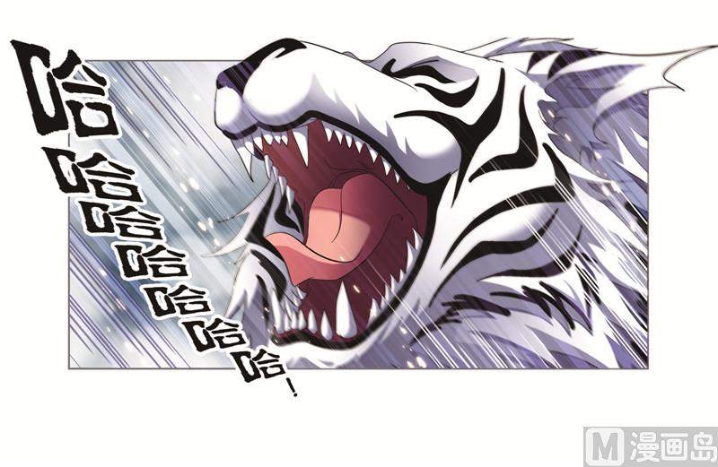 第249话 幻阶（2）22