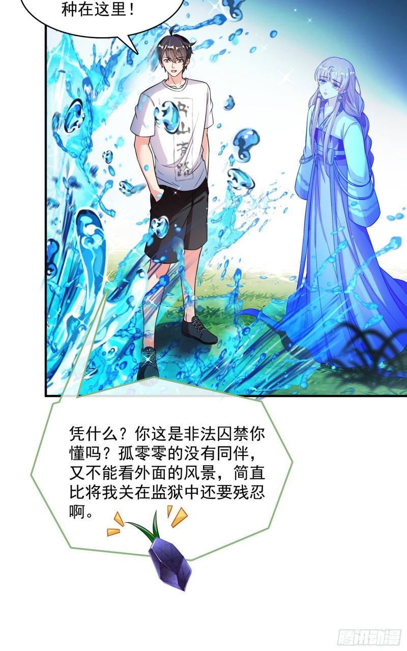 第376话 出来了，随身一块地21