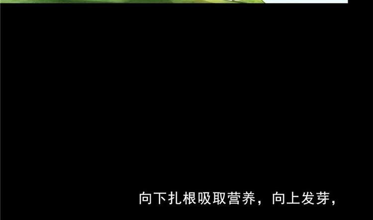 番外4 我是一根葱68