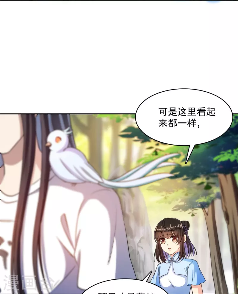 第402话 桃花，你最爱的人是不是我？11