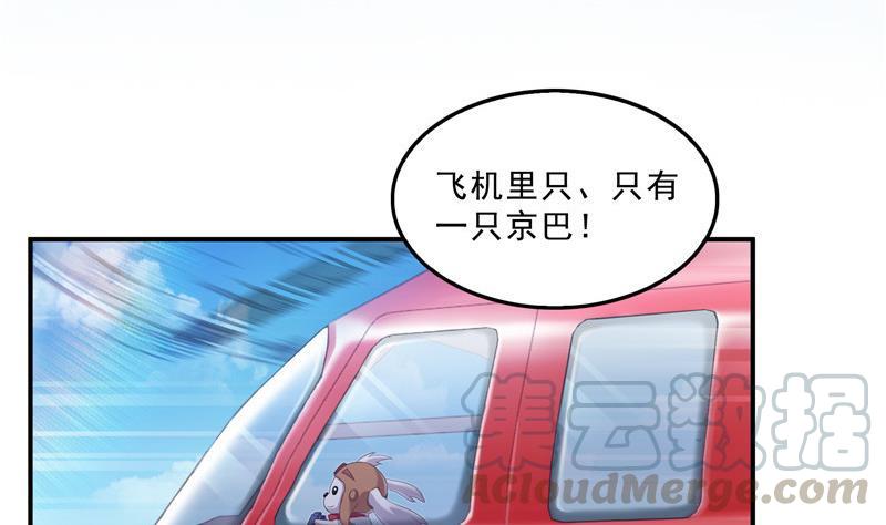 第133话 有只京巴在开飞机！61