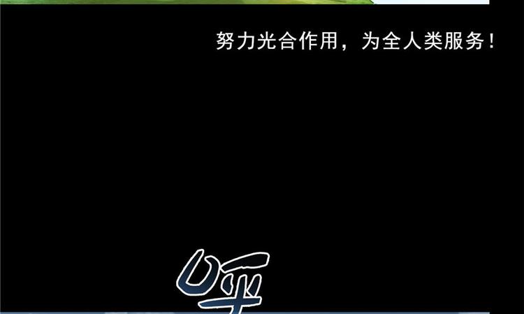 番外4 我是一根葱38
